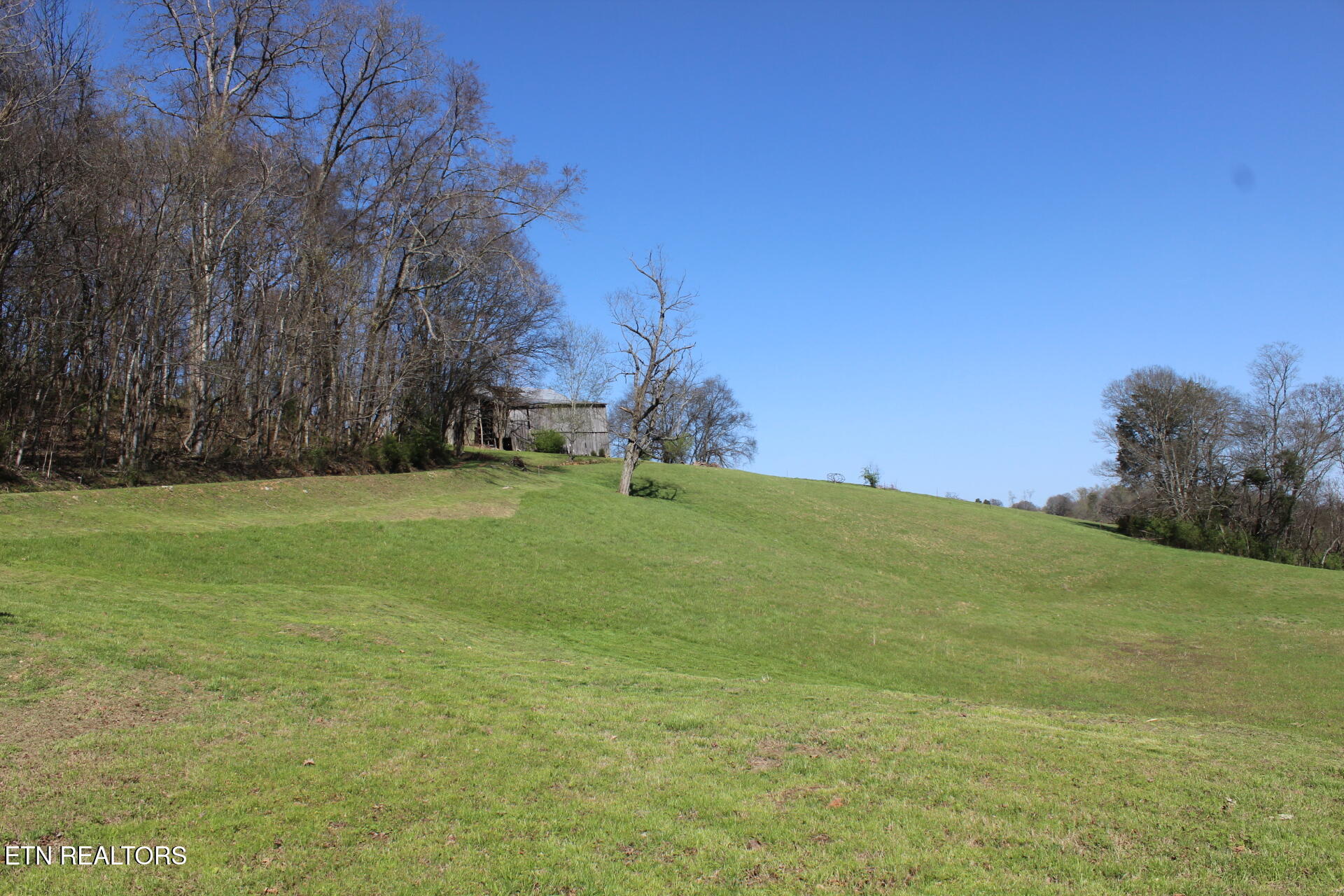 820 Calloway Road Rutledge, TN 37861 - Photo 10 of 27 IMG_4320