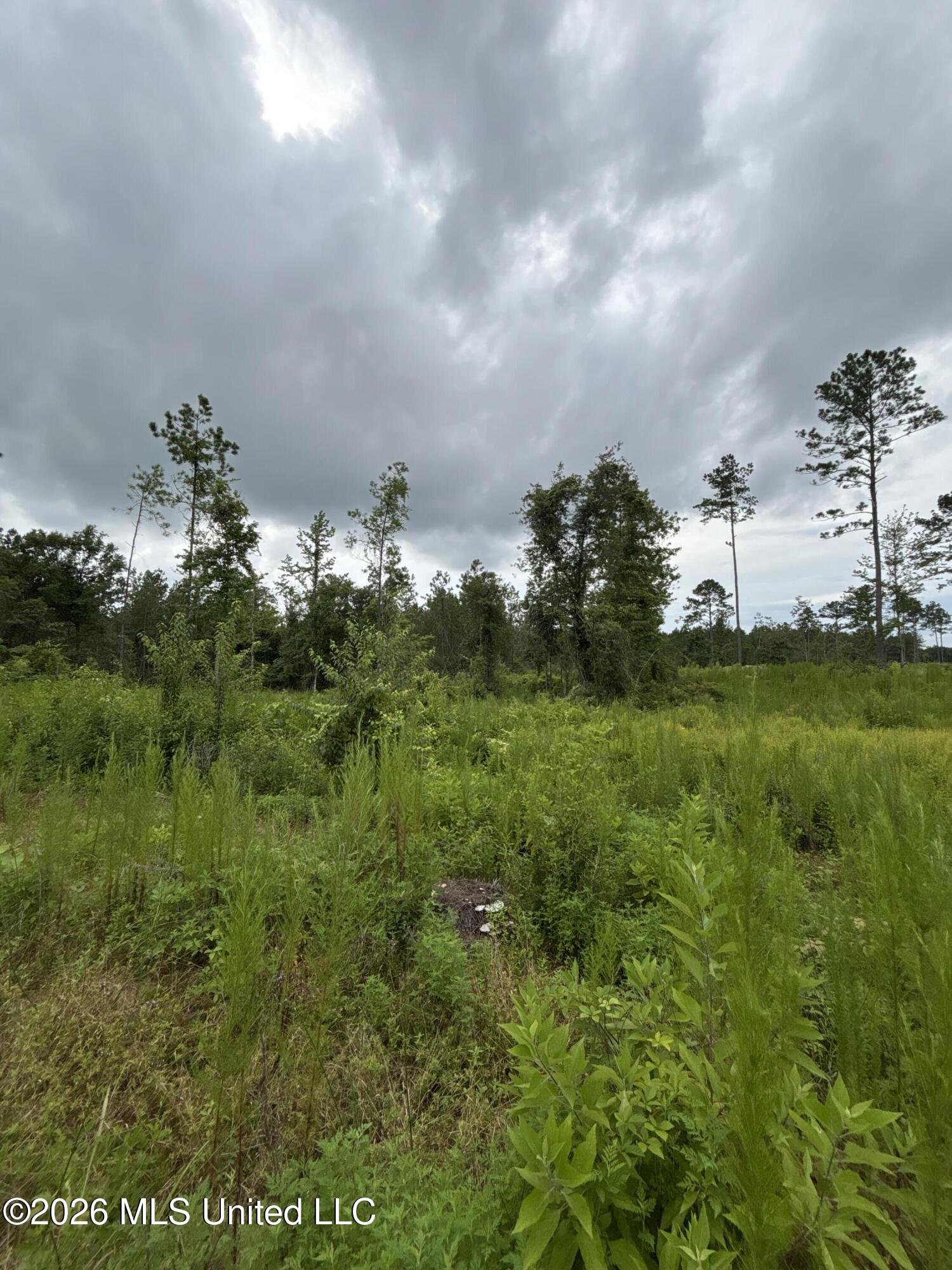 Kirklin Road Tylertown, MS 39667 - Photo 9 of 20 IMG_3092