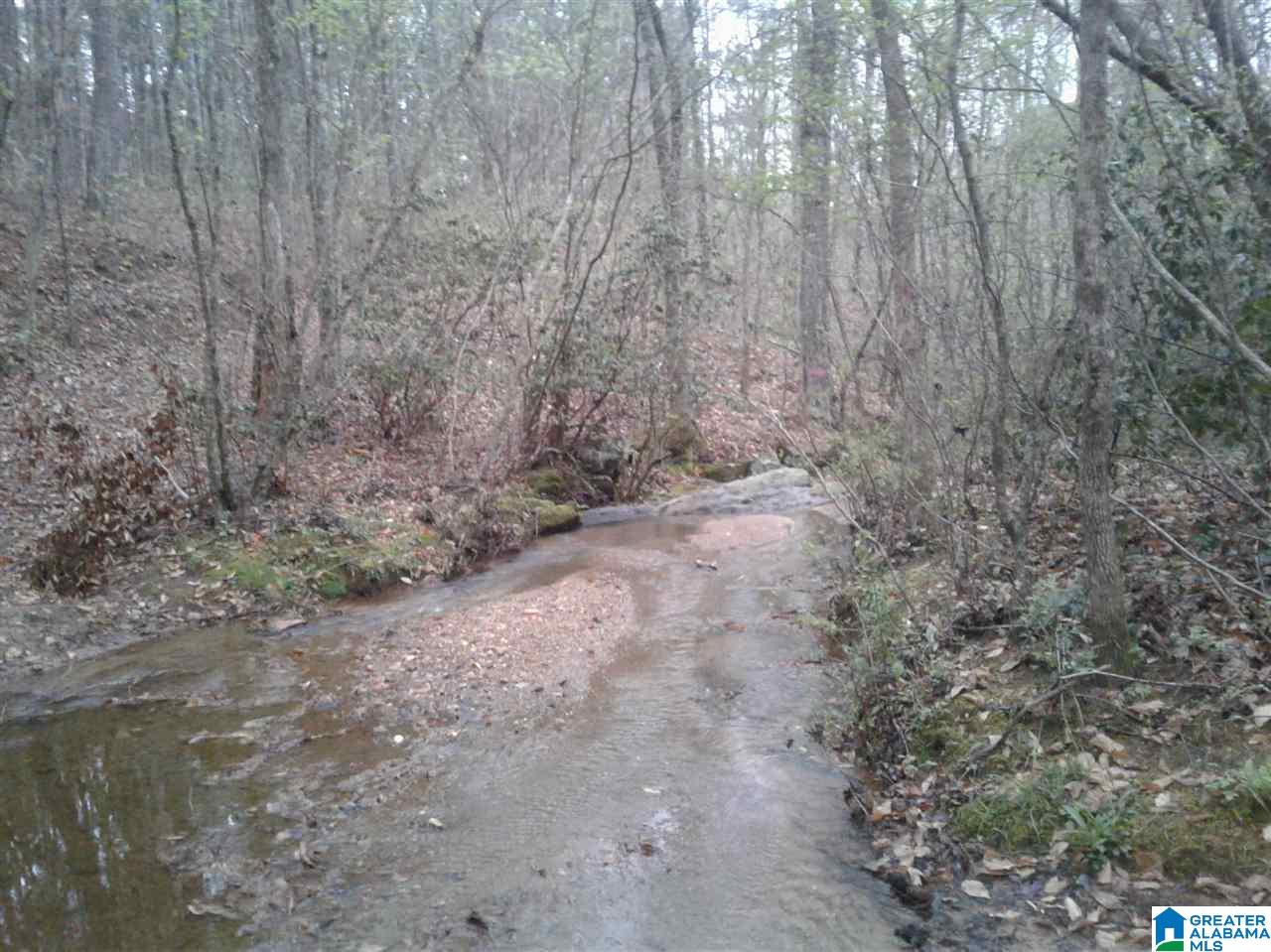 288 Fire Station Road, Unit 15 ACRES ( /) Ashland, AL 36251 - Photo 4 of 7