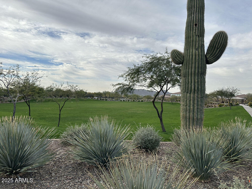 7580 West Saddlehorn Road Peoria, AZ 85383 - Photo 5 of 12 a view of a lake with a big yard and plants