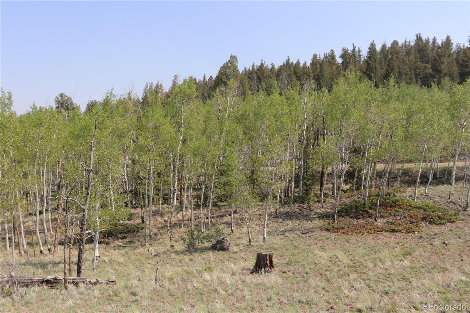 687 Corral Road Hartsel, CO 80449 - Photo 12 of 22 a view of a city with tall trees