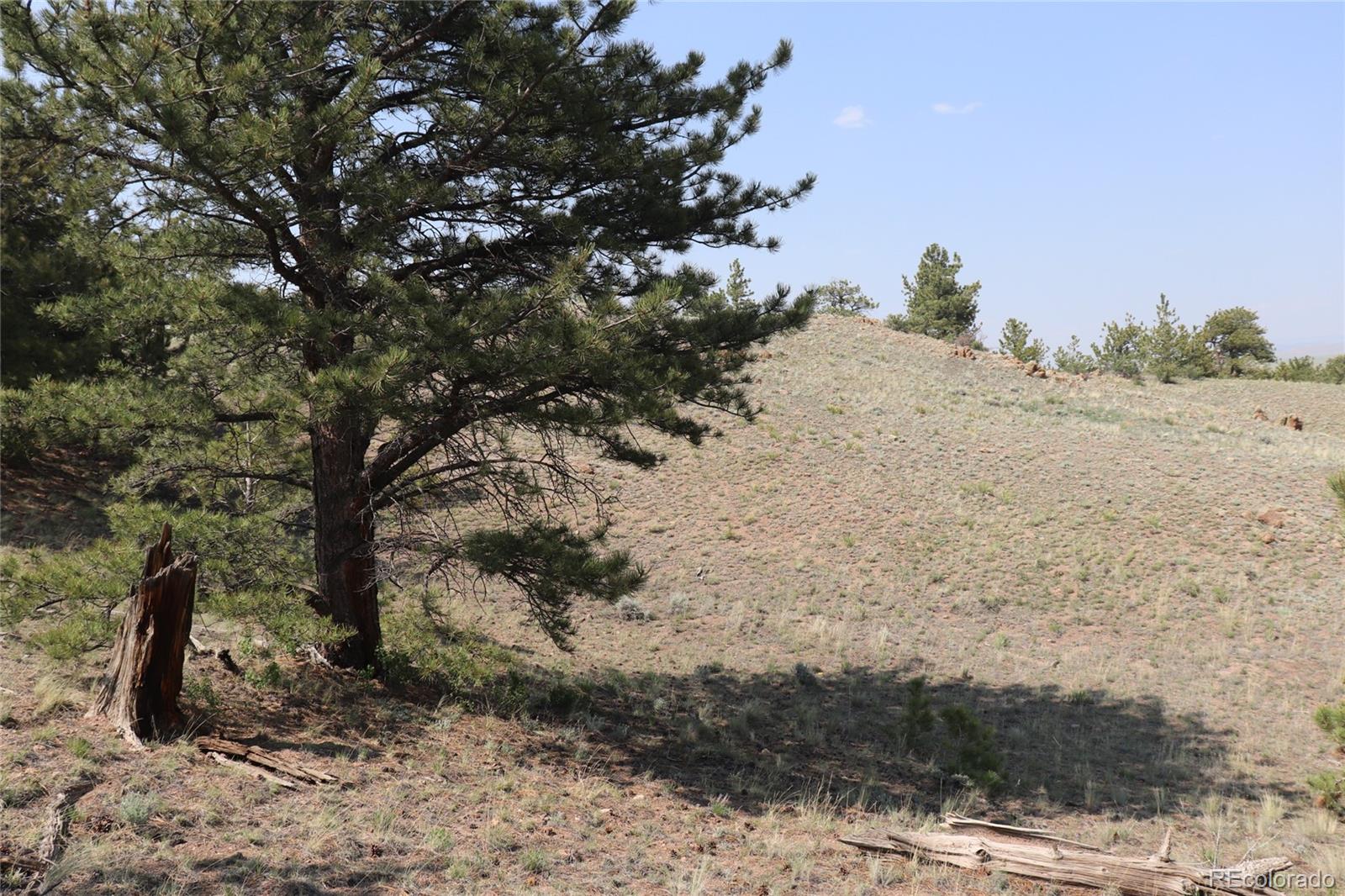 687 Corral Road Hartsel, CO 80449 - Photo 18 of 22 a view of a dry yard