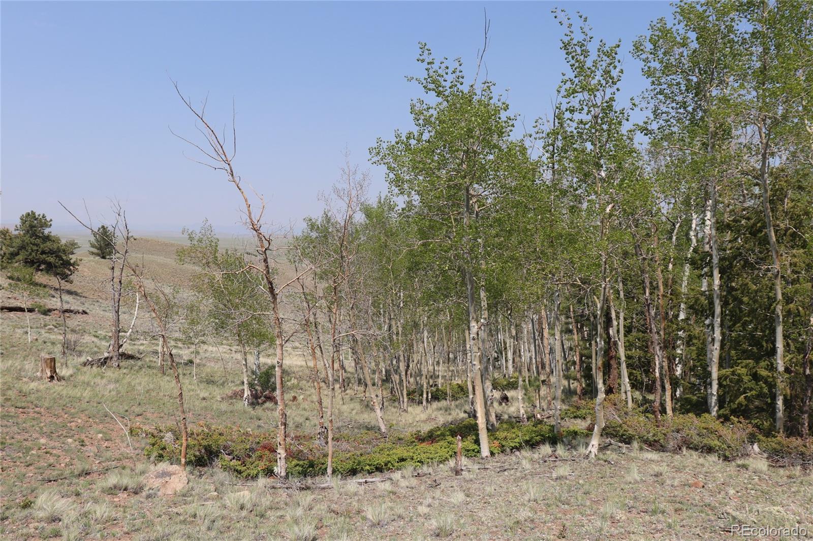 687 Corral Road Hartsel, CO 80449 - Photo 19 of 22 a view of a outdoor space