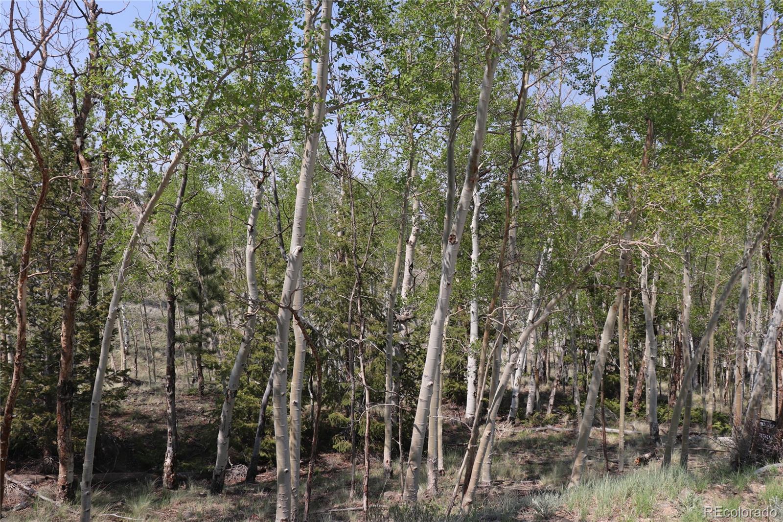 687 Corral Road Hartsel, CO 80449 - Photo 20 of 22