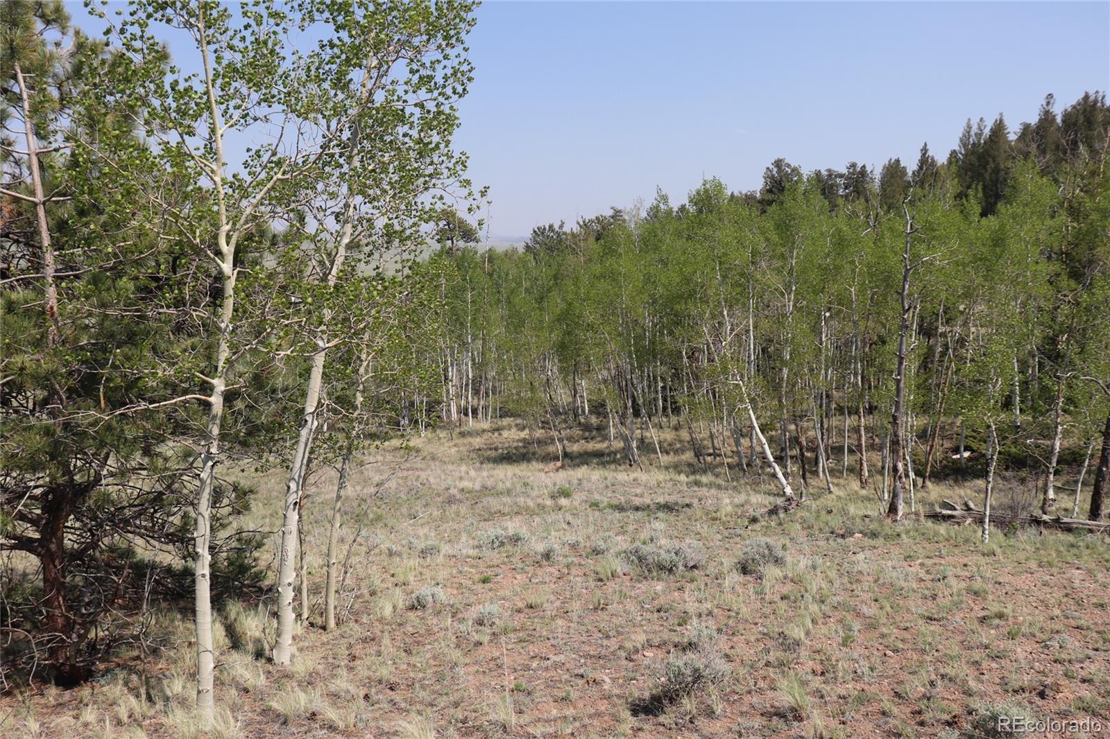 687 Corral Road Hartsel, CO 80449 - Photo 22 of 22 a backyard of a house with lots of green space