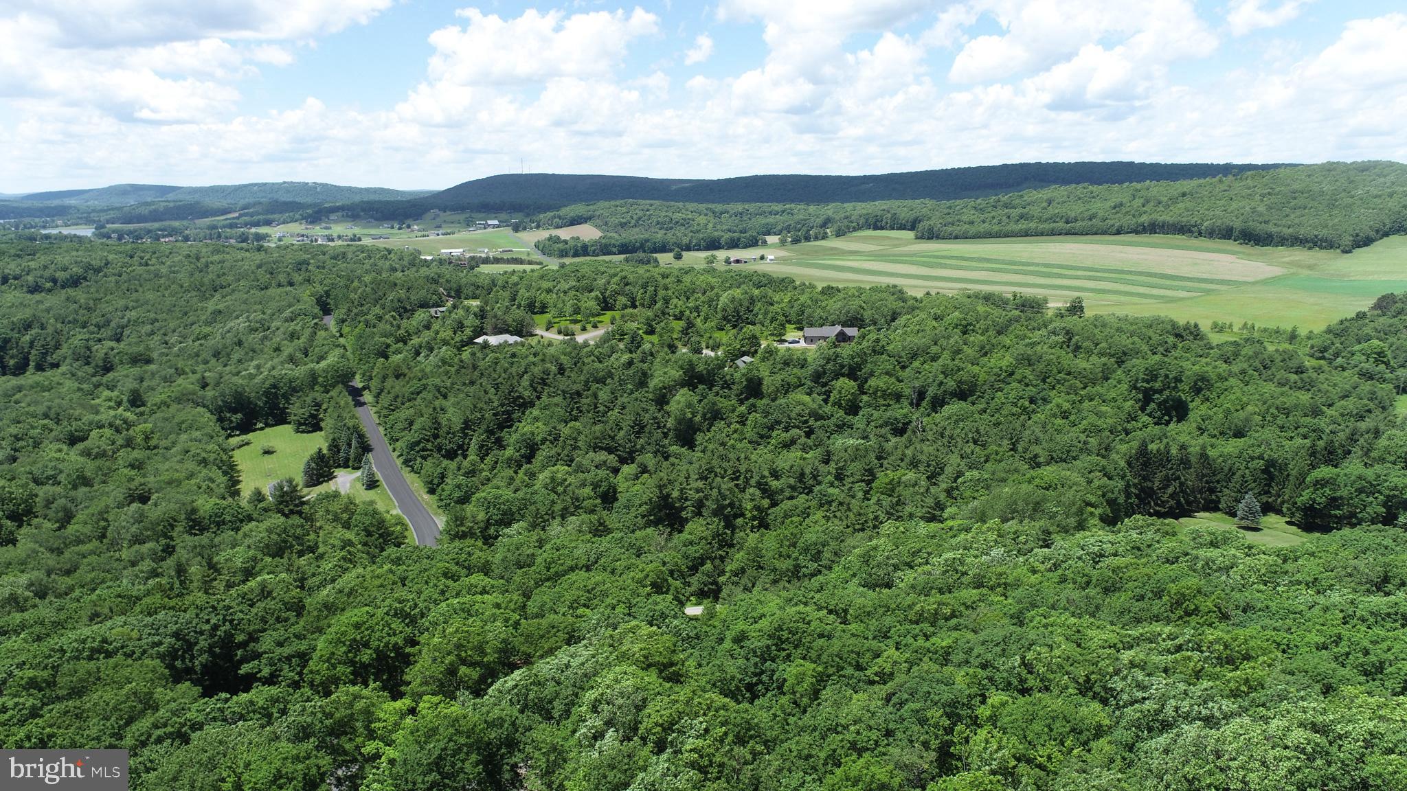 North Glade Road Swanton, MD 21561 - Photo 5 of 16