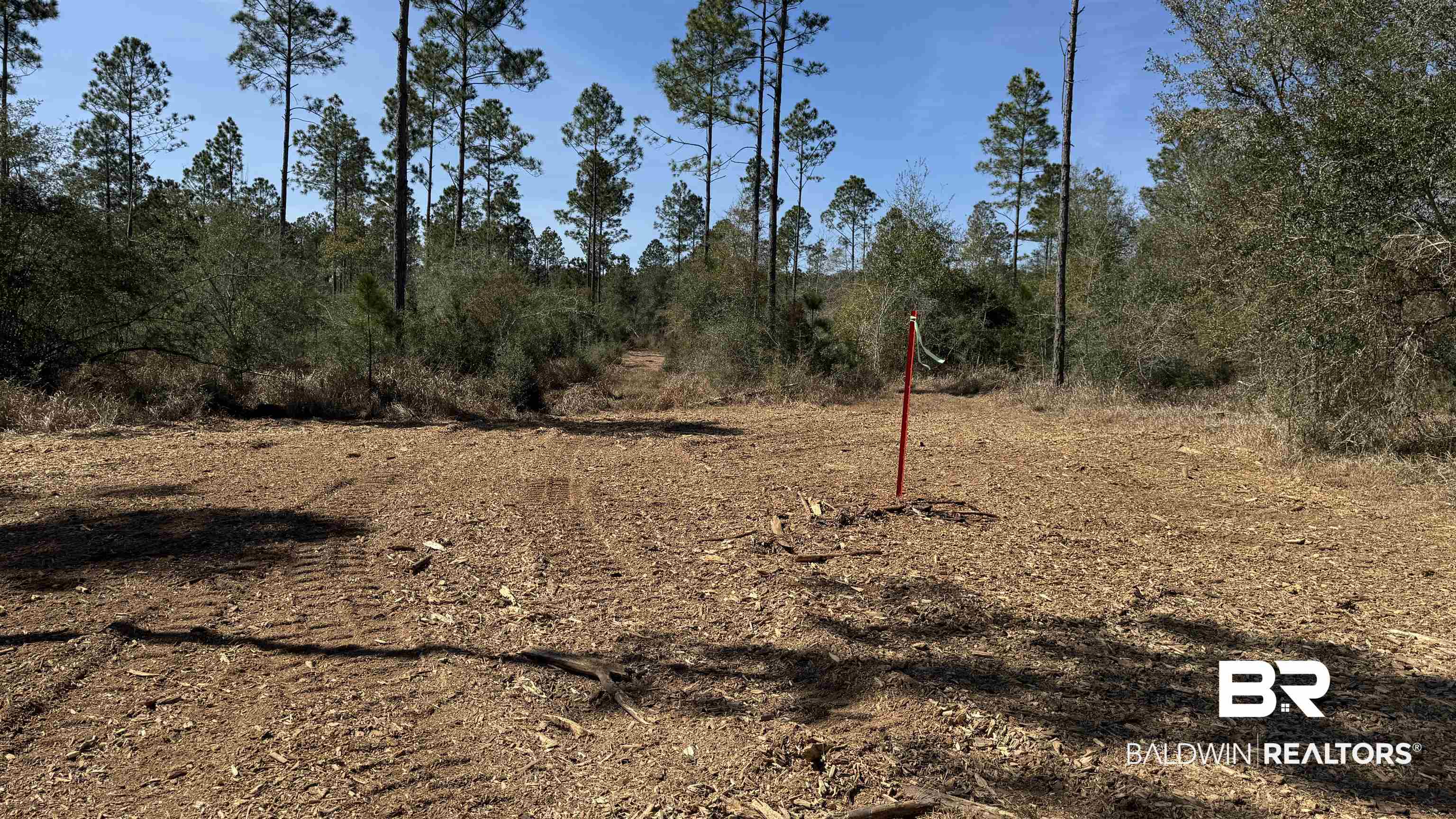 0 Archie Road Elberta, AL 36530 - Photo 14 of 16 View of nature