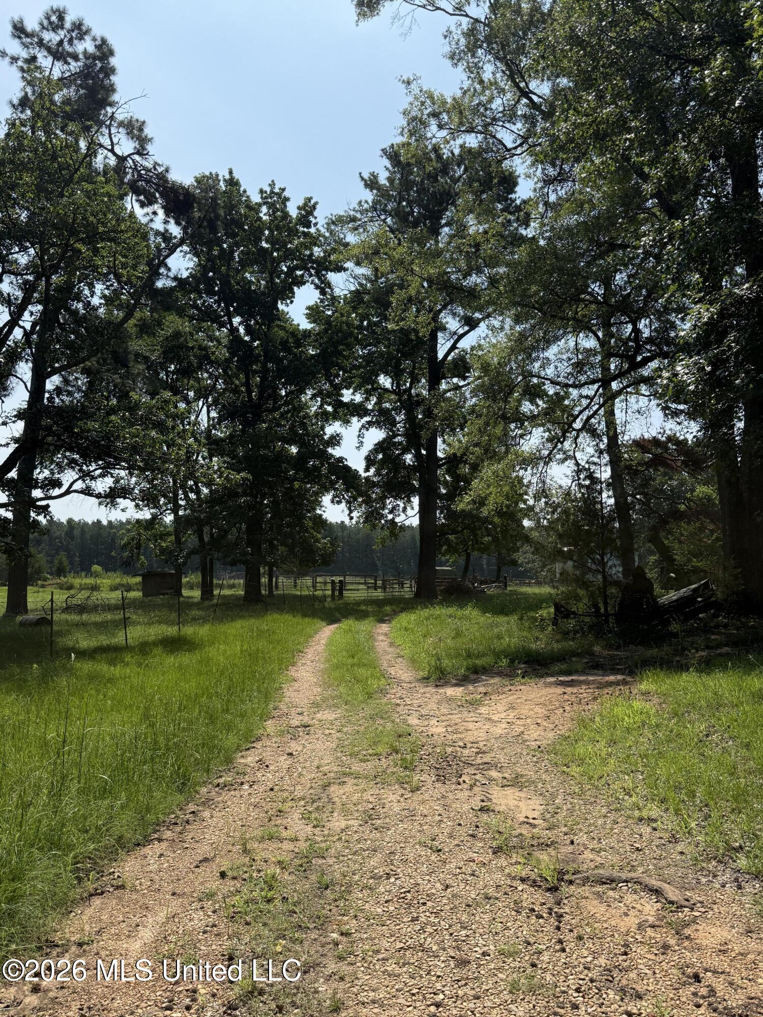 Monte Vista Road Eupora, MS 39744 - Photo 28 of 54 IMG_6429