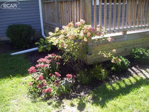 8159 Carpenter Road Flushing, MI 48433 - Photo 12 of 48 20448798-11.JPG