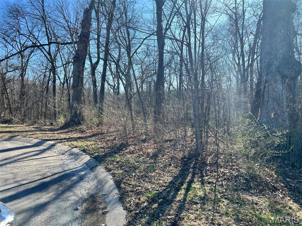4 Acres Oak Ridge Hannibal, MO 63401 - Photo 1 of 3
