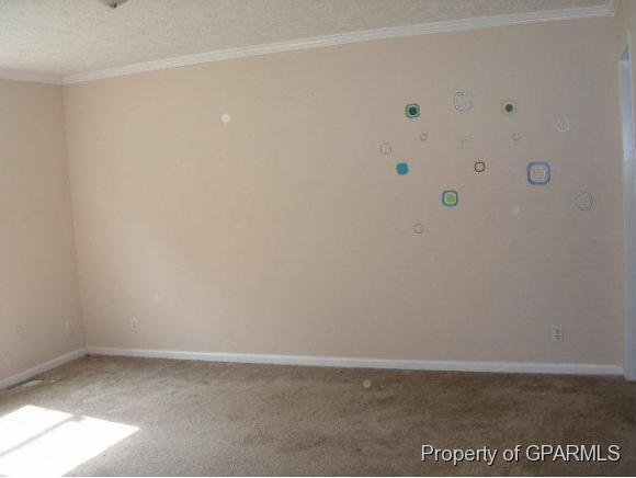 2890 Salisbury Road Robersonville, NC 27871 - Photo 4 of 12 Additional Photo