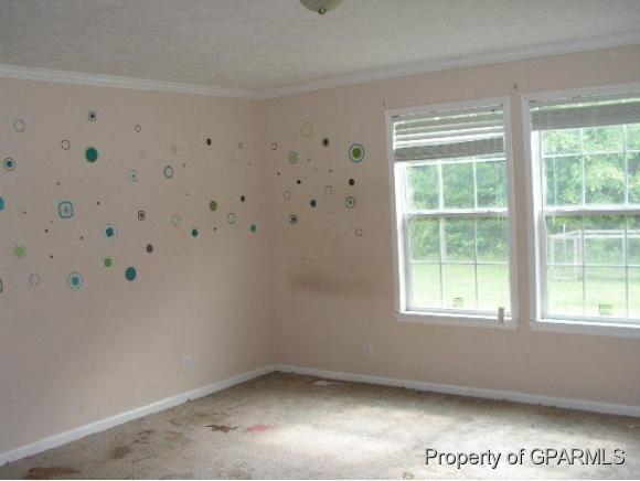 2890 Salisbury Road Robersonville, NC 27871 - Photo 5 of 12 Additional Photo