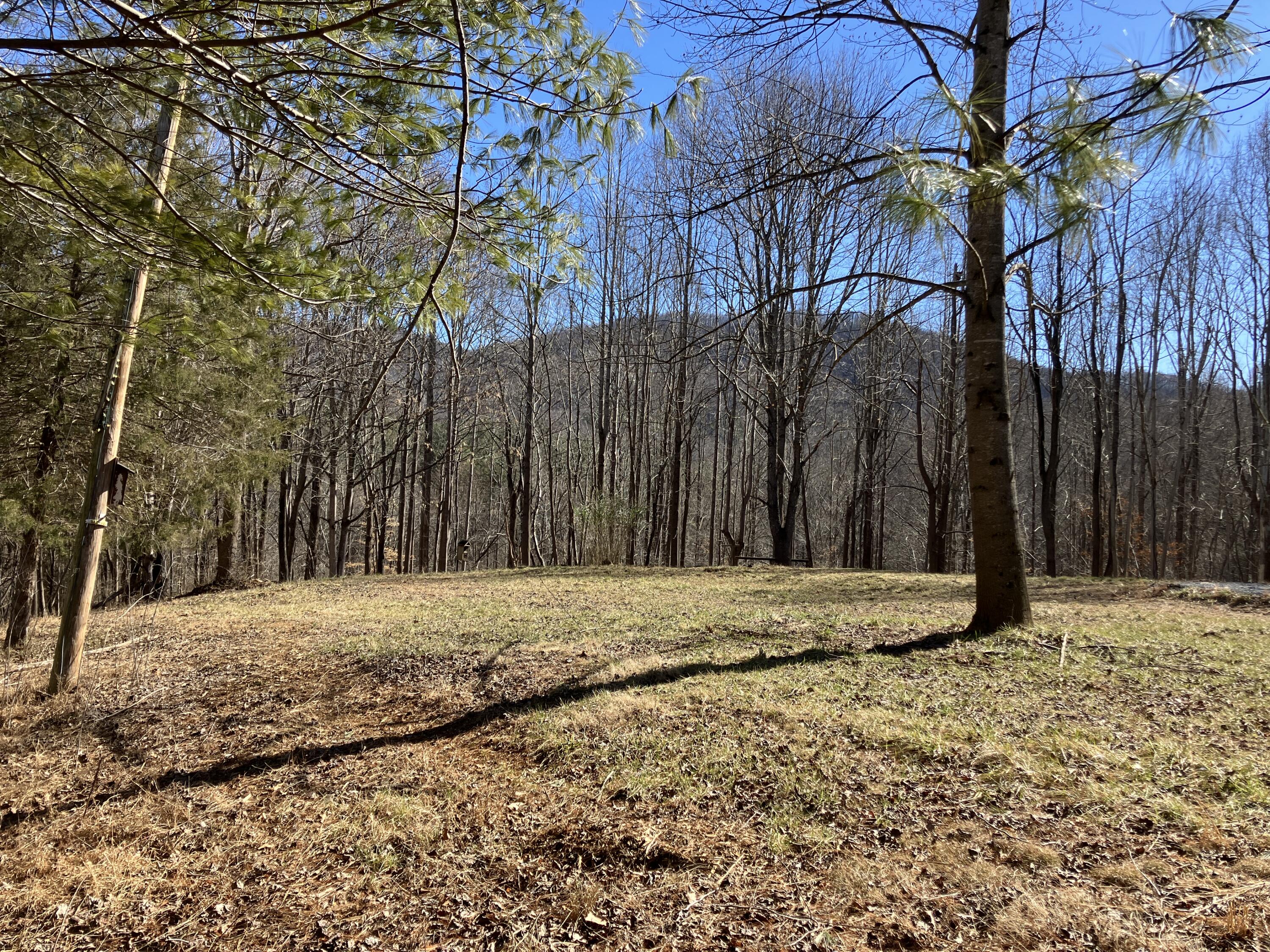 4200 Union Church Road Thaxton, VA 24174 - Photo 4 of 13 4