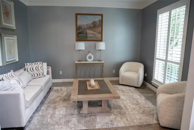 a living room with furniture rug and window