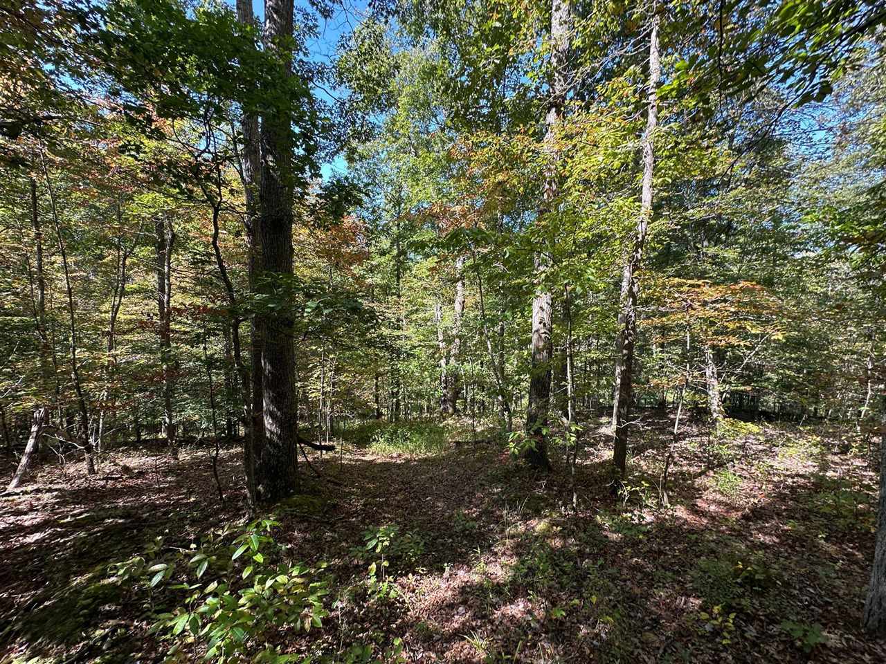 18 A Hall Road Grayson, KY 41143 - Photo 54 of 77 Gallery Image 54