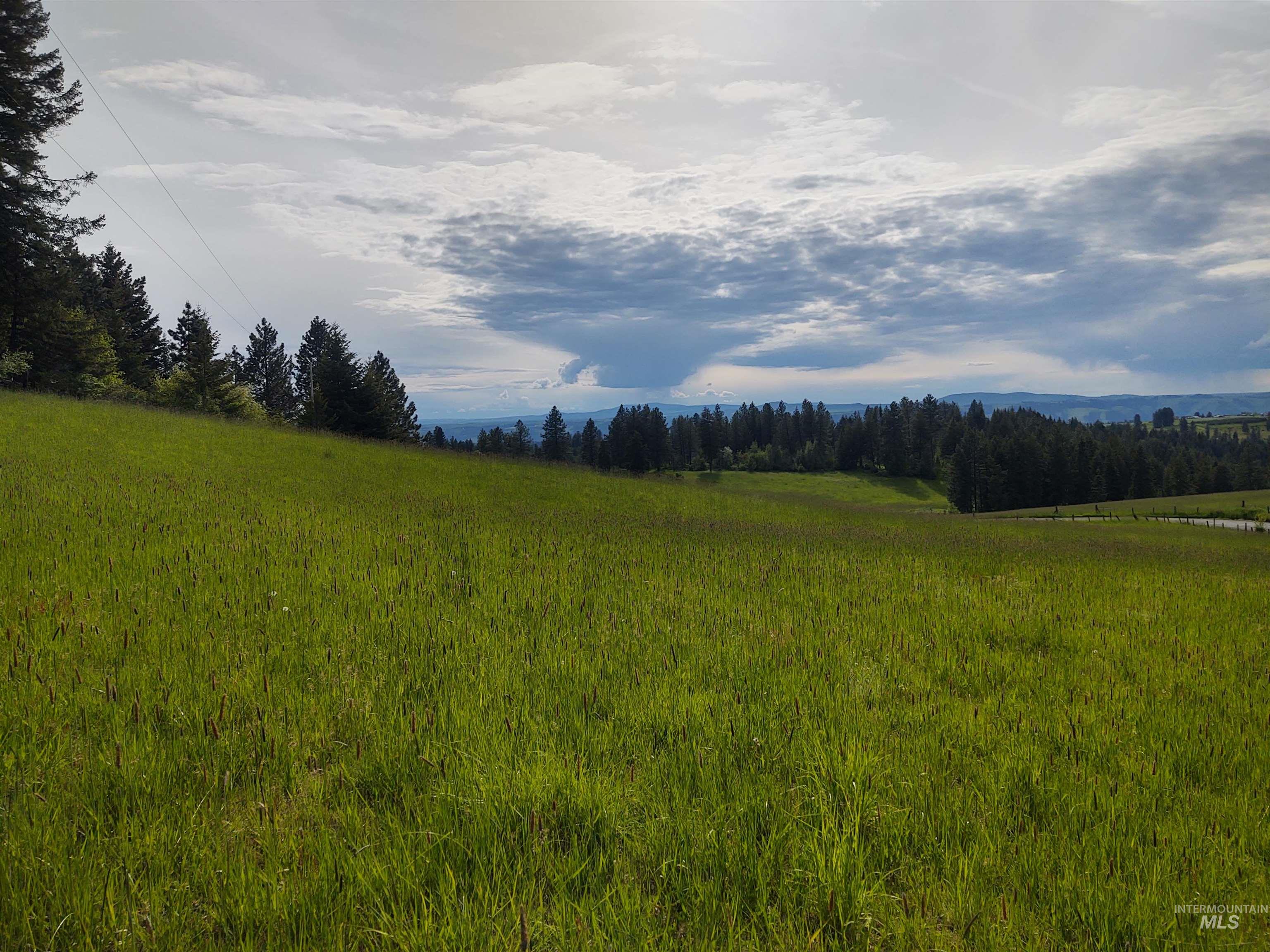 13 Red Fir Road Kooskia, ID 83539 - Photo 19 of 24