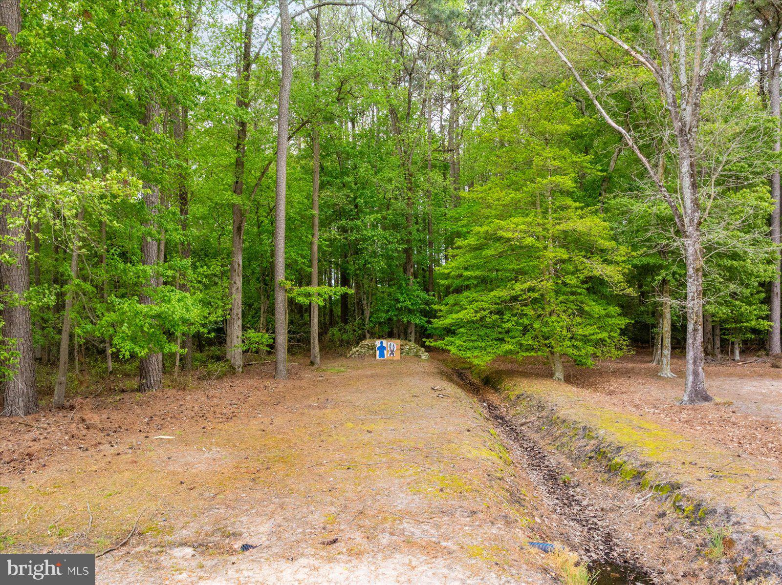 33915 Shockley Road Parsonsburg, MD 21849 - Photo 120 of 125 Serene woodland retreat awaits you.