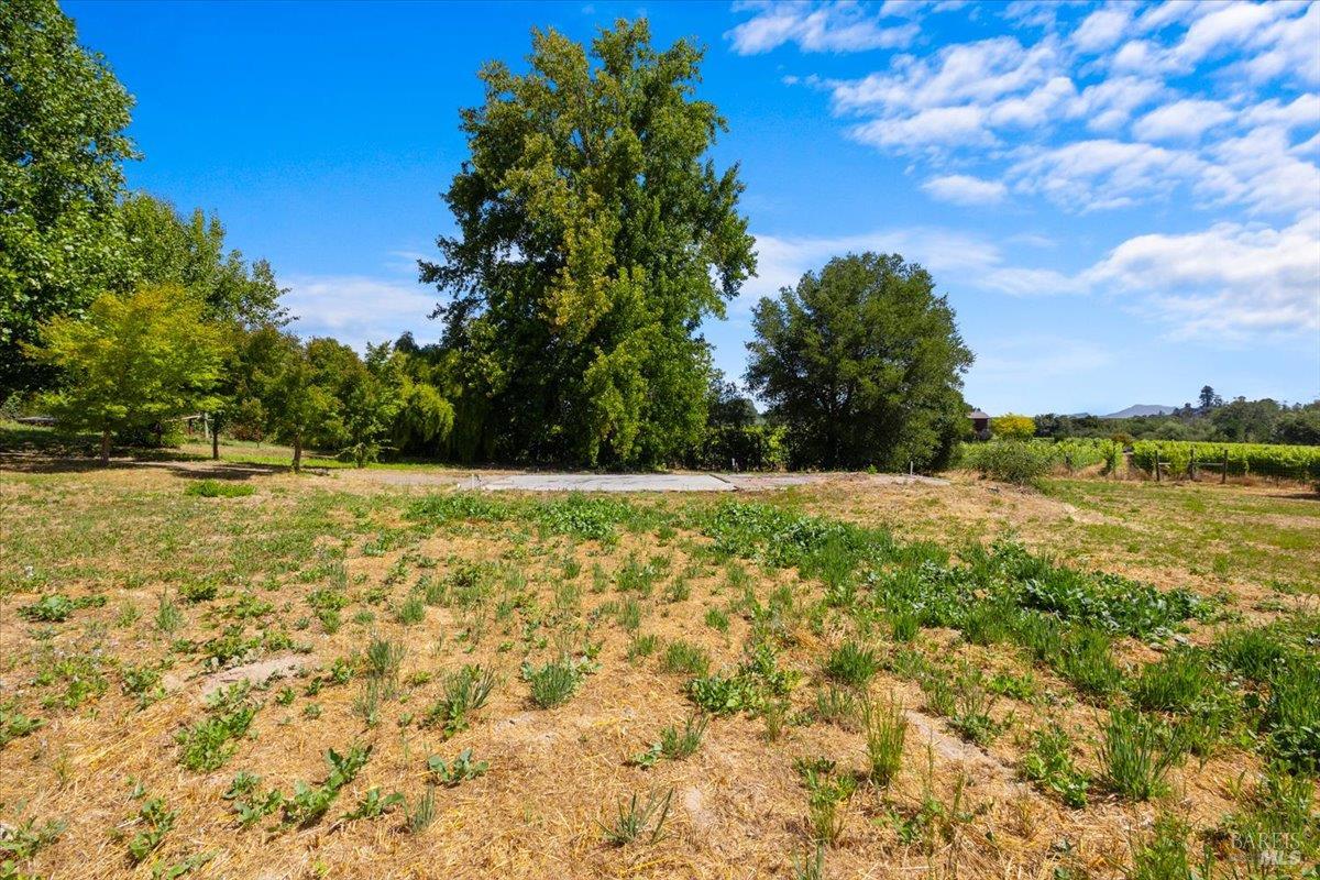 8550 Templeman Road Forestville, CA 95436 - Photo 88 of 90