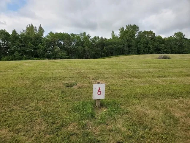 $43,900 | Lot 4 Devils Lake Road Northwest, Brandon, MN 56315