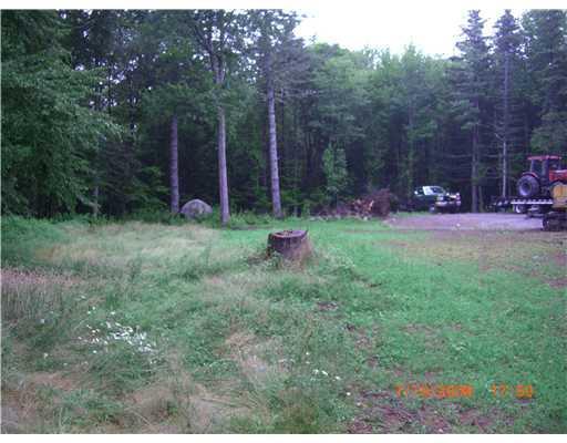 9 Blanchard Road Mount Desert, ME 04660 - Photo 20 of 22 Yard/Garden.