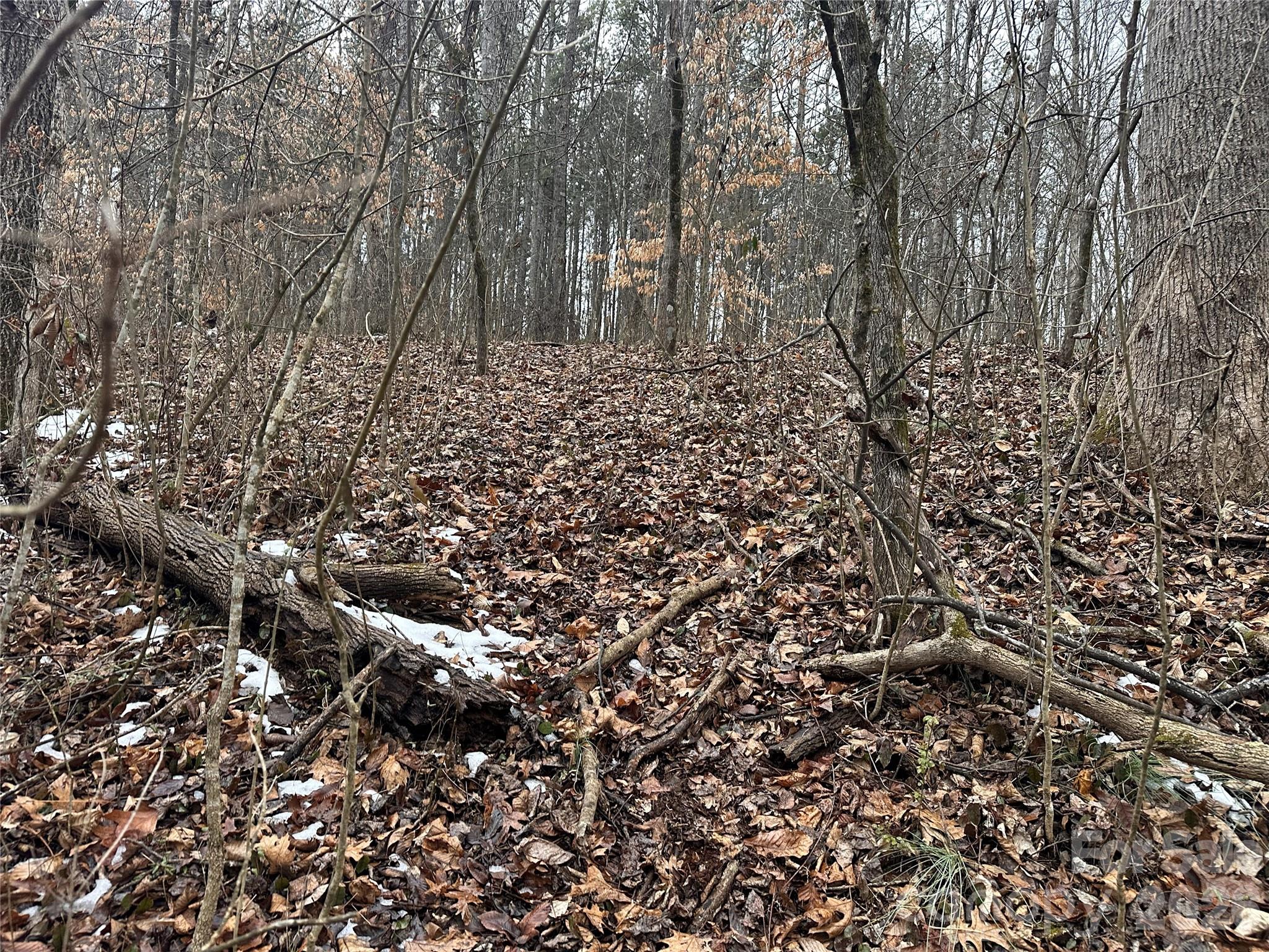 167 Rolling Road Lincolnton, NC 28092 - Photo 11 of 33 a view of a large yard with lots of green space