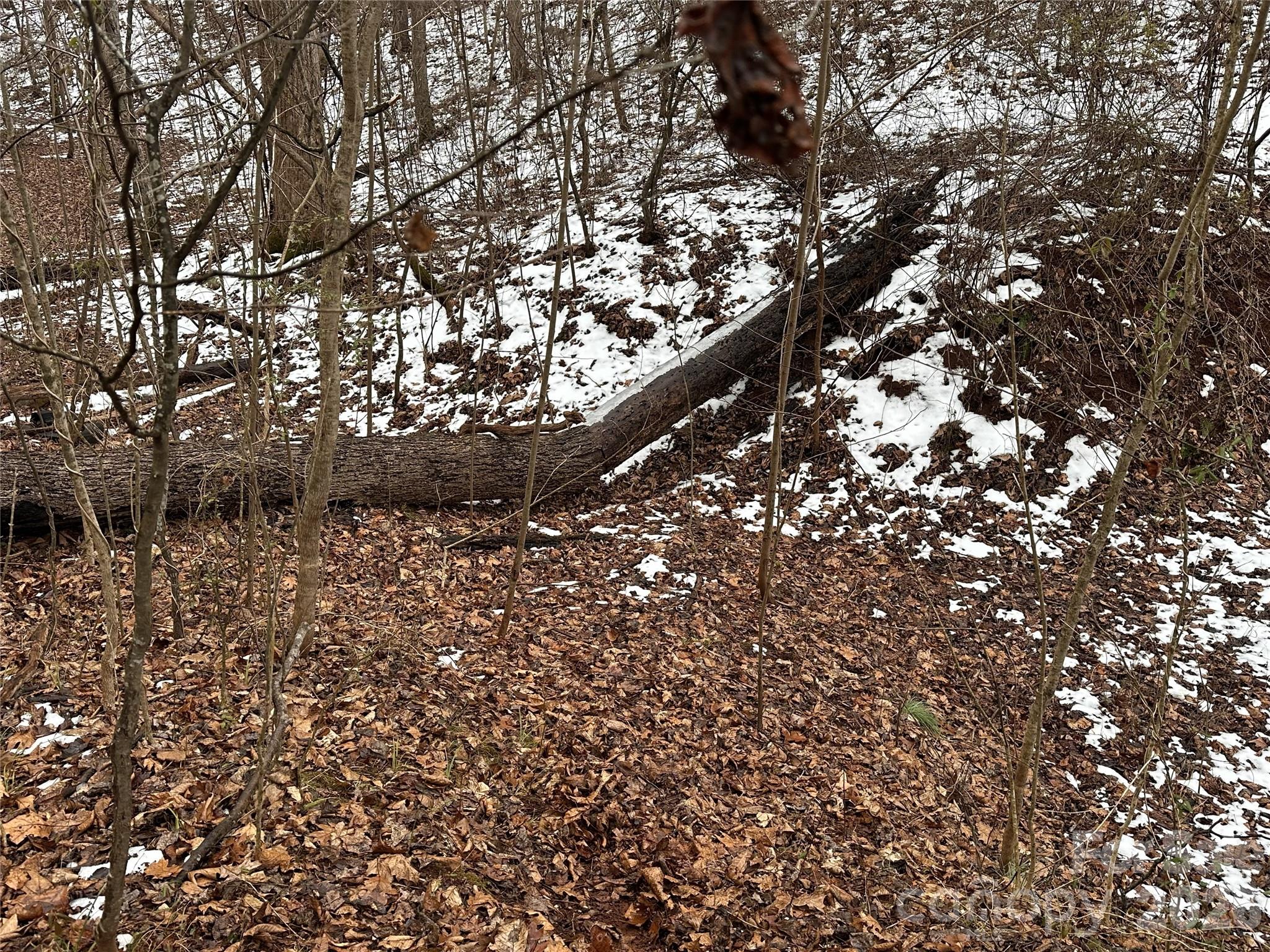 167 Rolling Road Lincolnton, NC 28092 - Photo 12 of 33