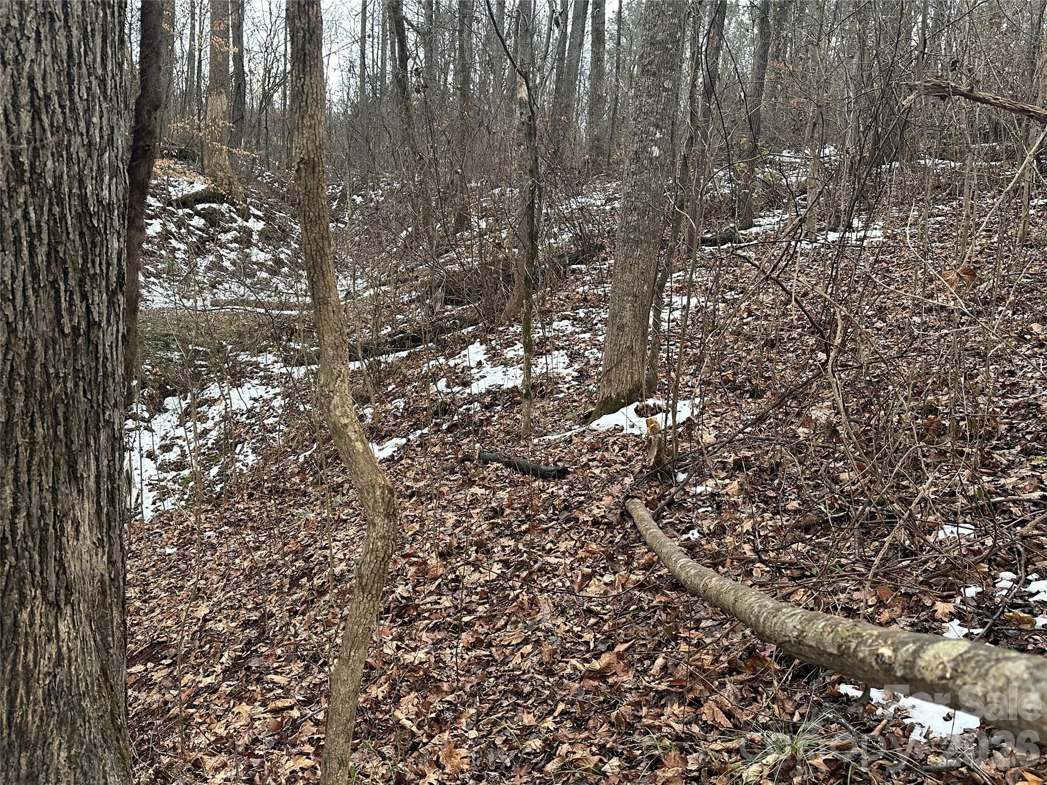 167 Rolling Road Lincolnton, NC 28092 - Photo 13 of 33 a view of a house with a tree