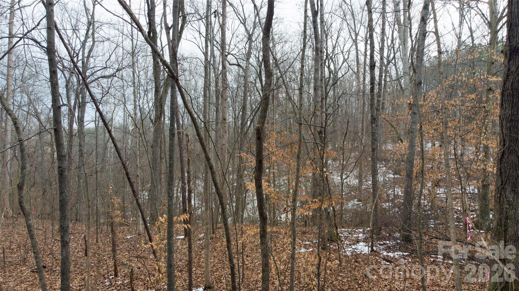 167 Rolling Road Lincolnton, NC 28092 - Photo 14 of 33 a view of outdoor space and a yard