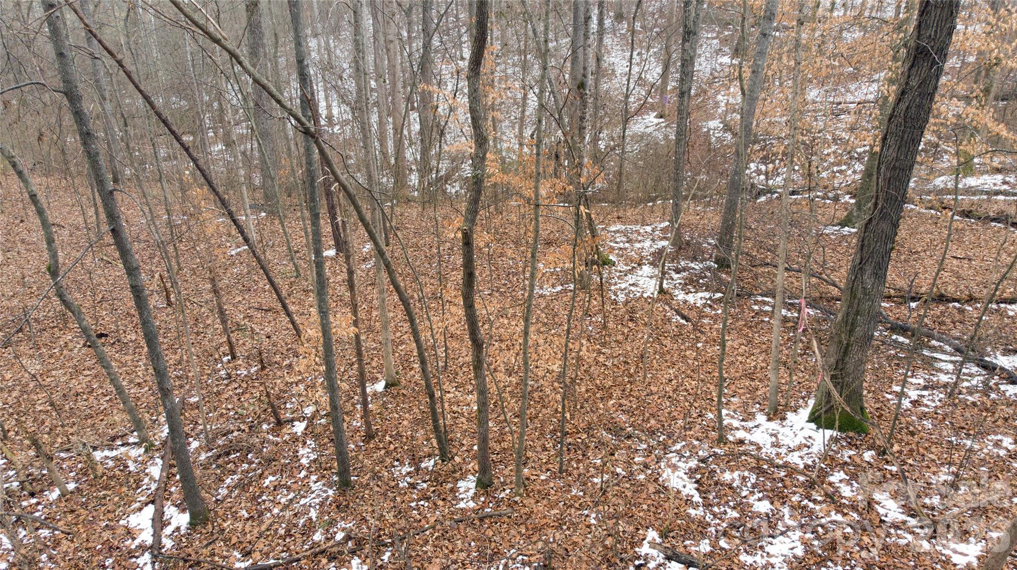 167 Rolling Road Lincolnton, NC 28092 - Photo 15 of 33