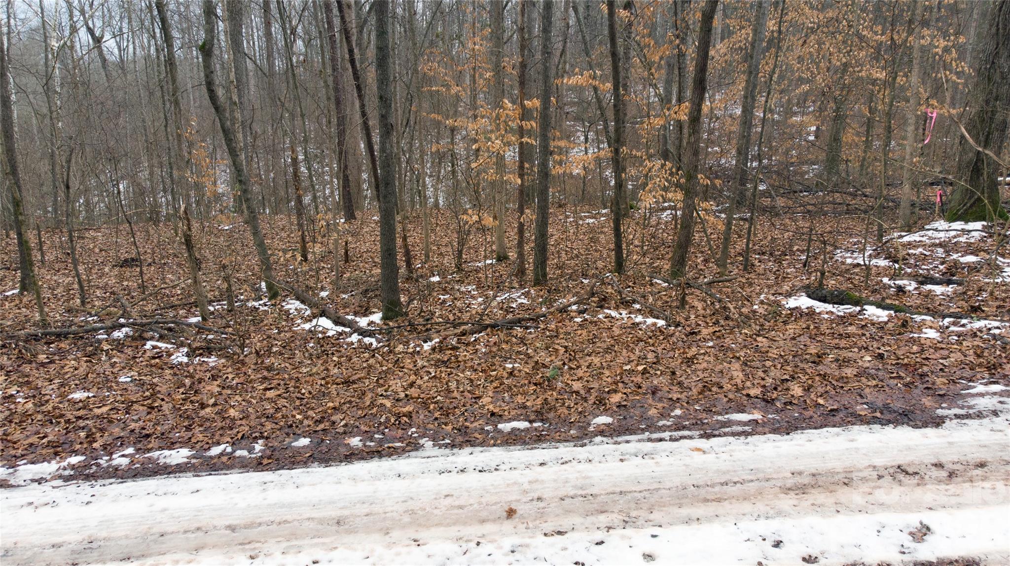 167 Rolling Road Lincolnton, NC 28092 - Photo 19 of 33 a view of covered with snow