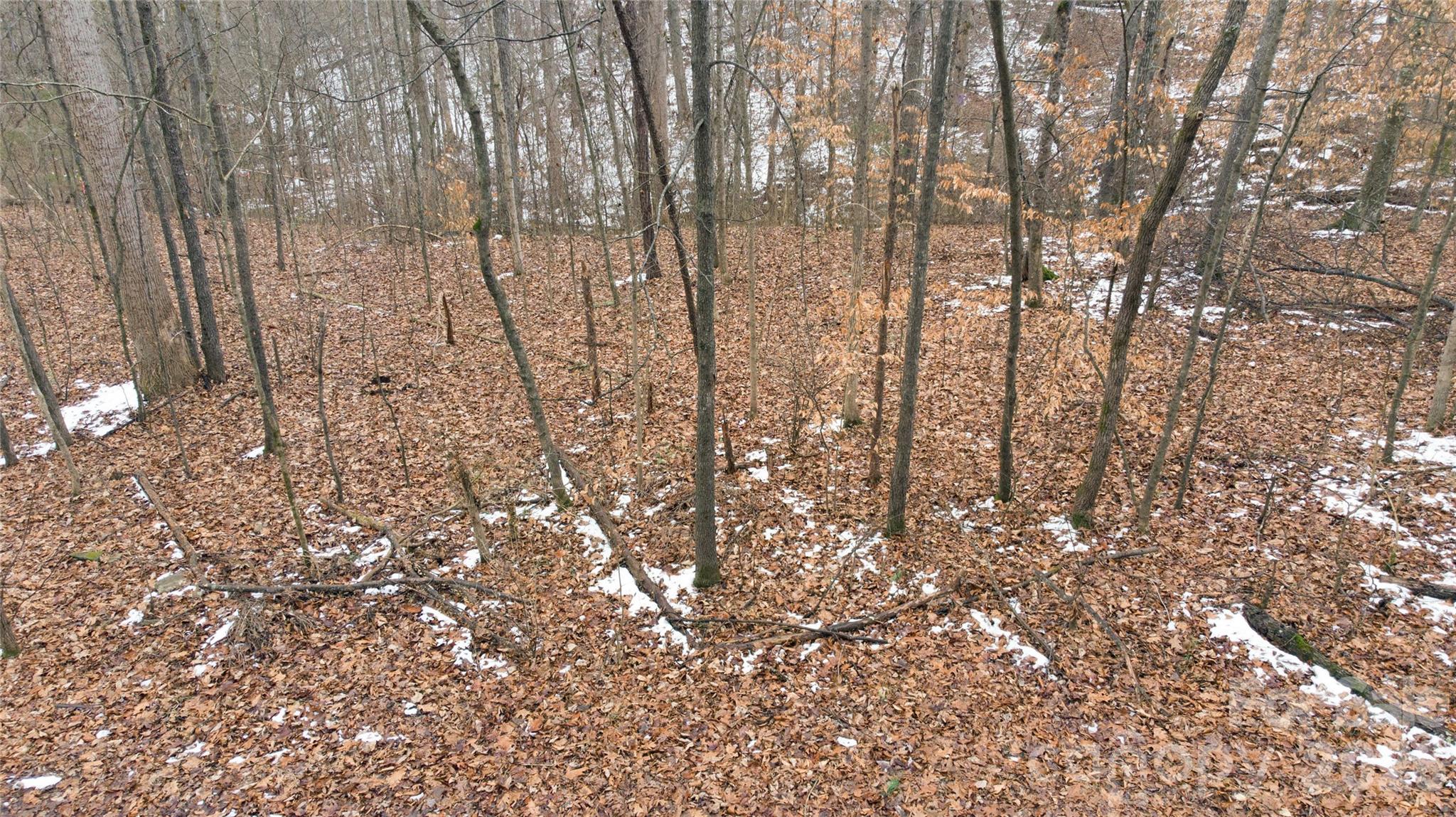 167 Rolling Road Lincolnton, NC 28092 - Photo 21 of 33 a view of forest