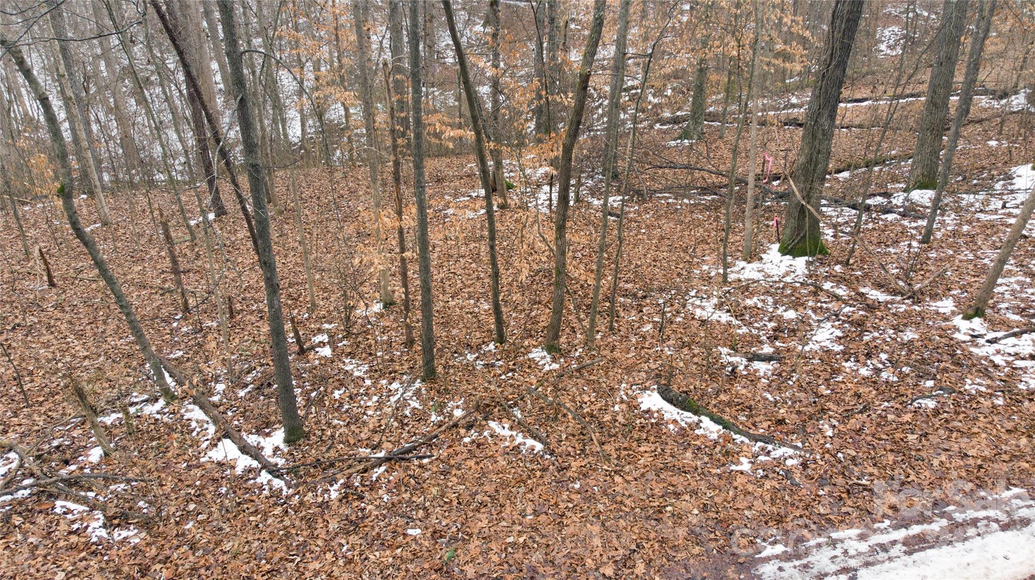 167 Rolling Road Lincolnton, NC 28092 - Photo 22 of 33 a view of forest