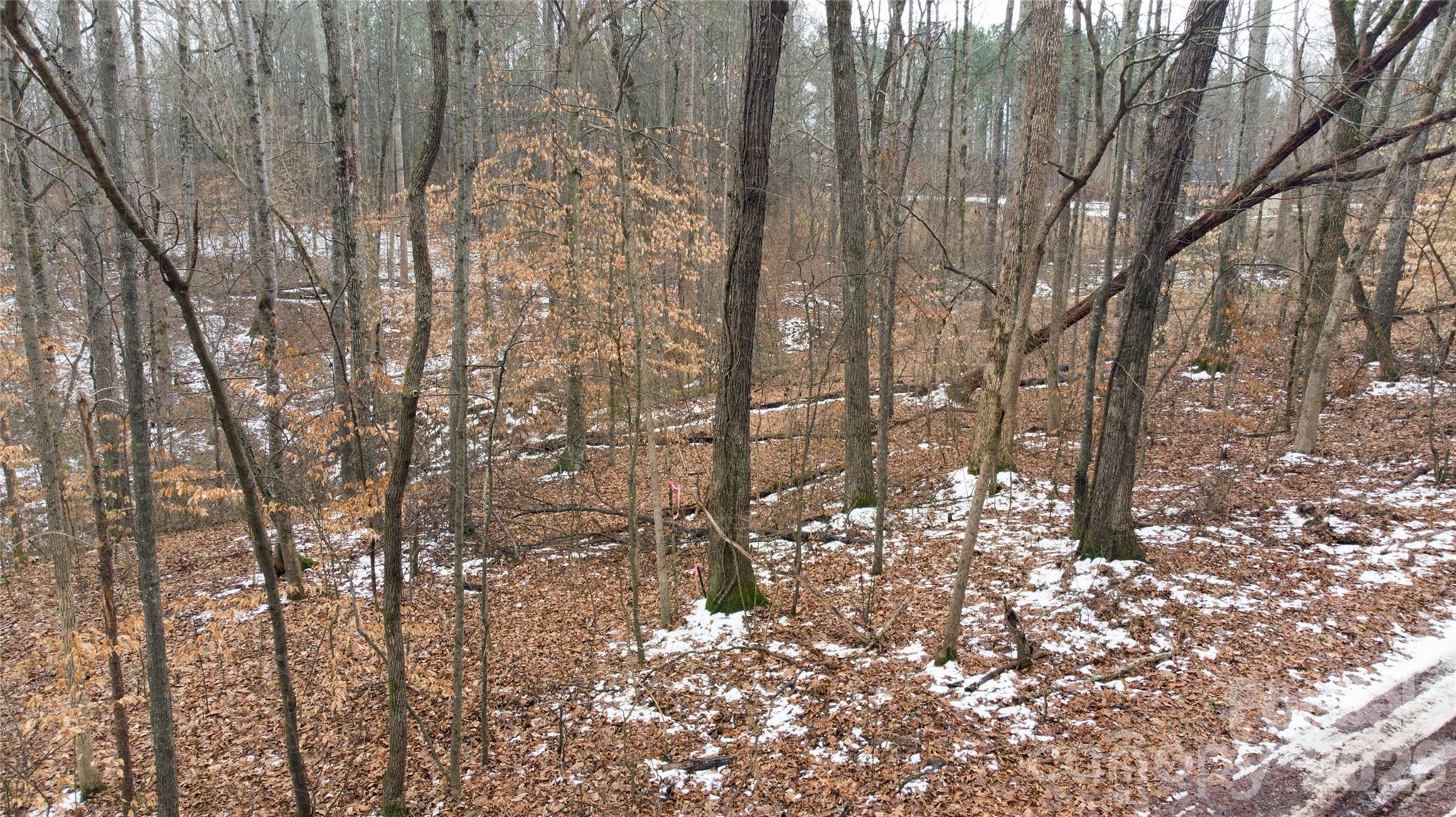 167 Rolling Road Lincolnton, NC 28092 - Photo 24 of 33 a view of covered with snow