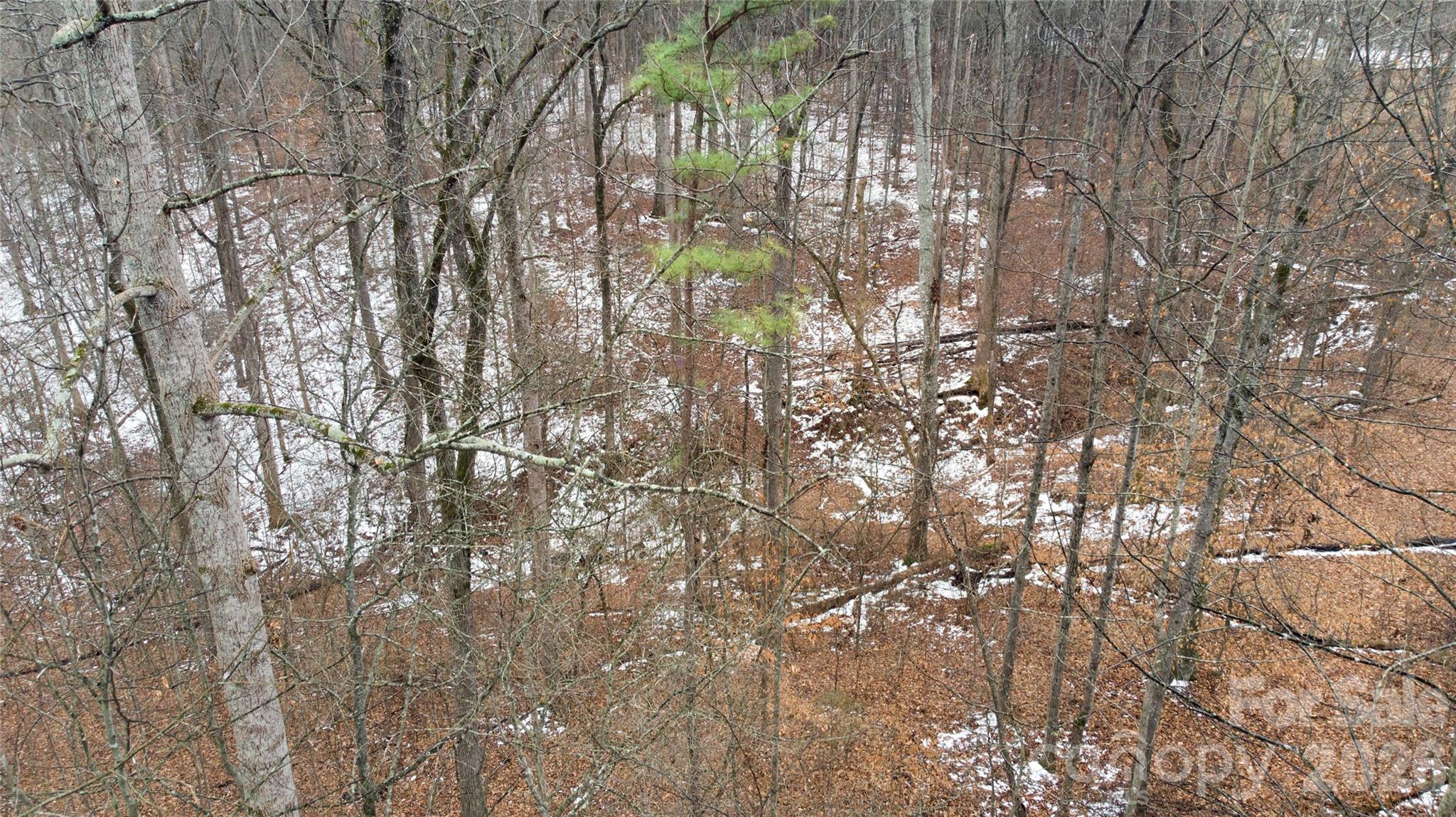 167 Rolling Road Lincolnton, NC 28092 - Photo 28 of 33 a backyard of a house with lots of green space