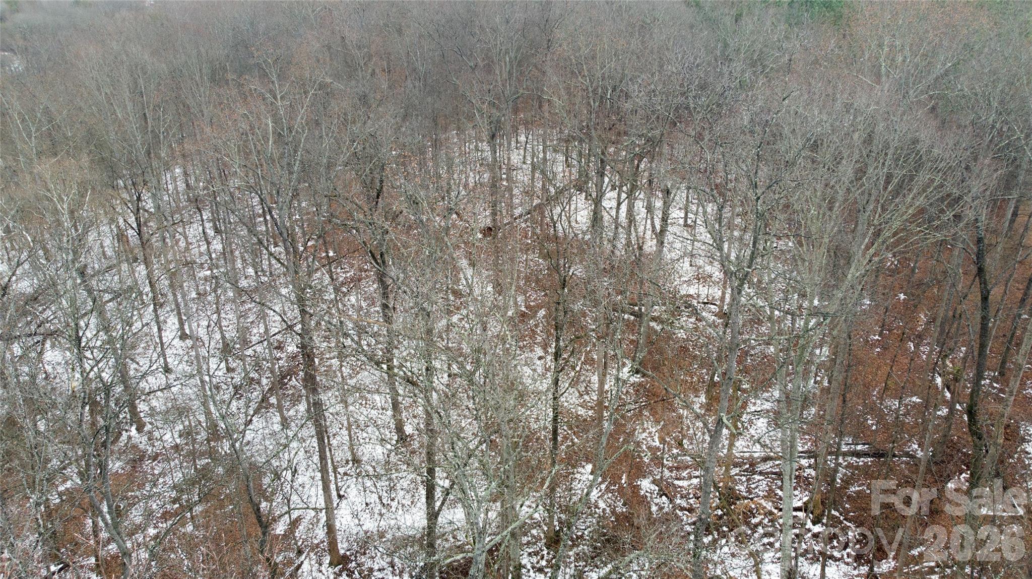 167 Rolling Road Lincolnton, NC 28092 - Photo 30 of 33 a view of forest