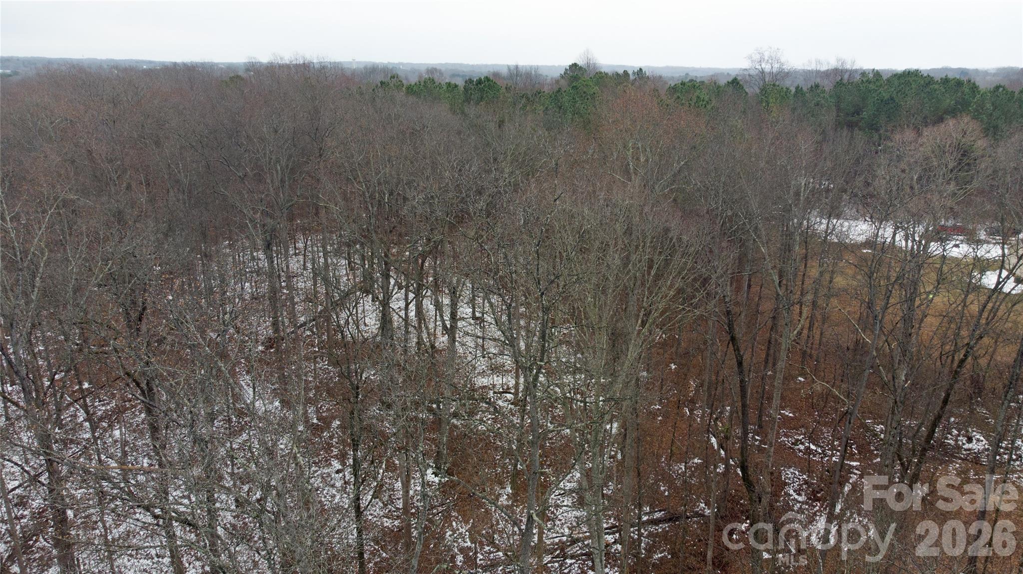 167 Rolling Road Lincolnton, NC 28092 - Photo 32 of 33 a view of a forest with a mountain in the background