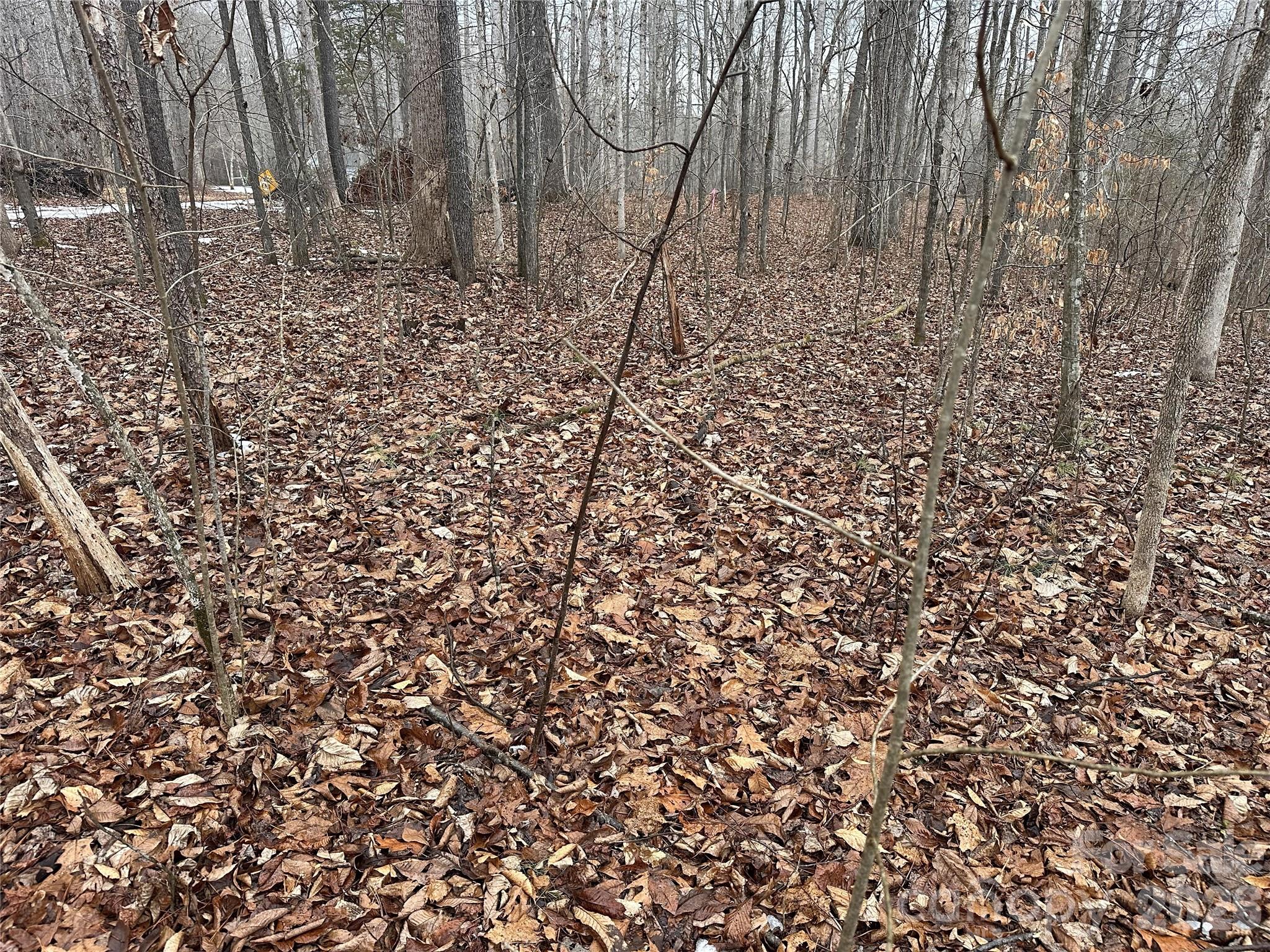 167 Rolling Road Lincolnton, NC 28092 - Photo 5 of 33 a yard with a trees