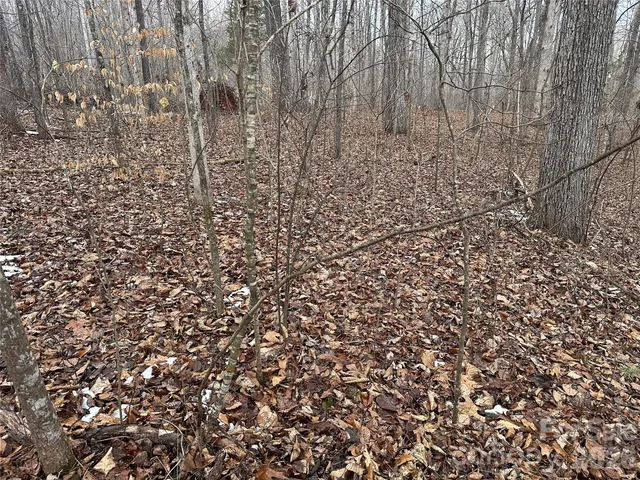 a view of yard with green space