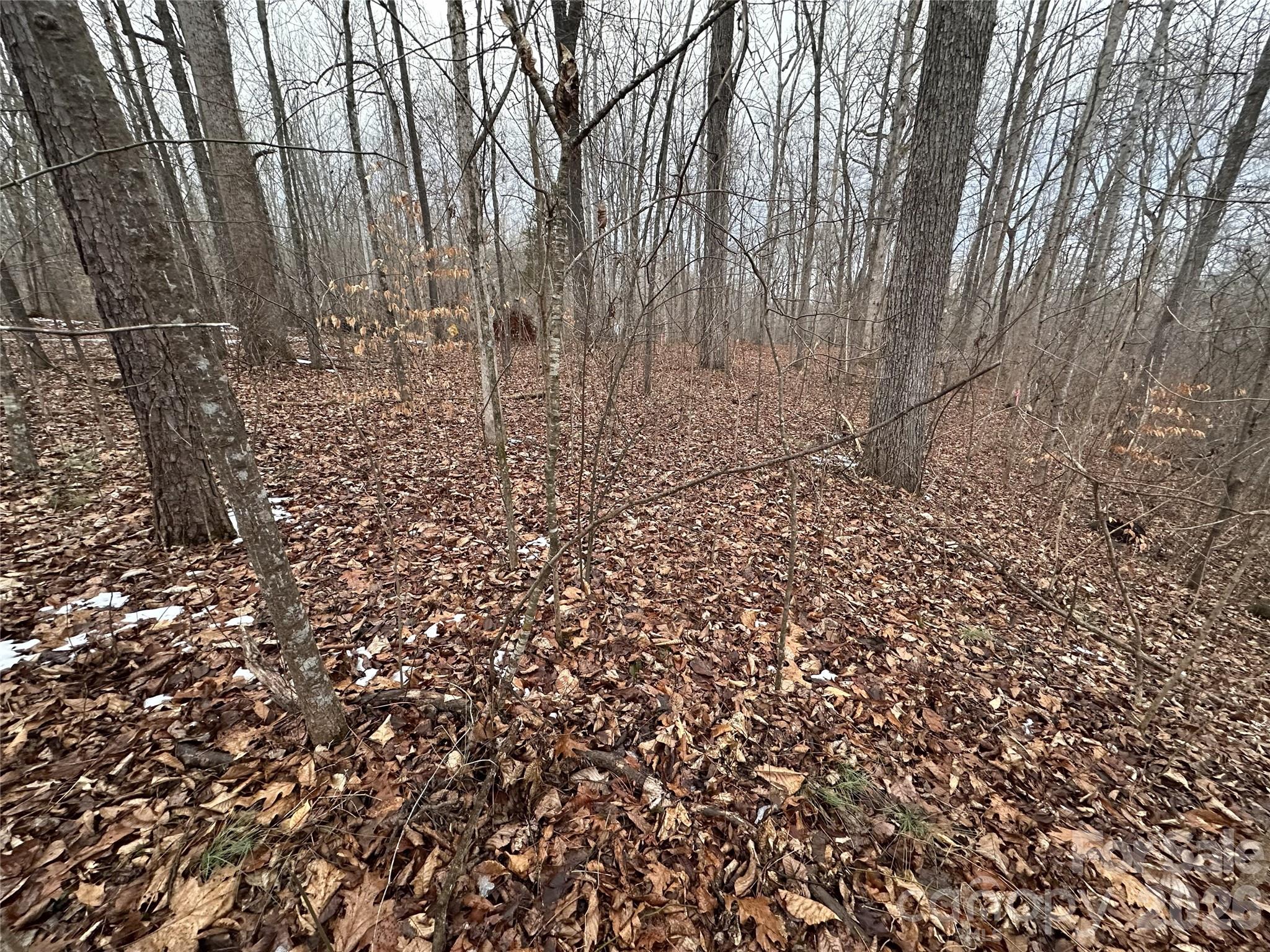 167 Rolling Road Lincolnton, NC 28092 - Photo 7 of 33 a view of yard with green space