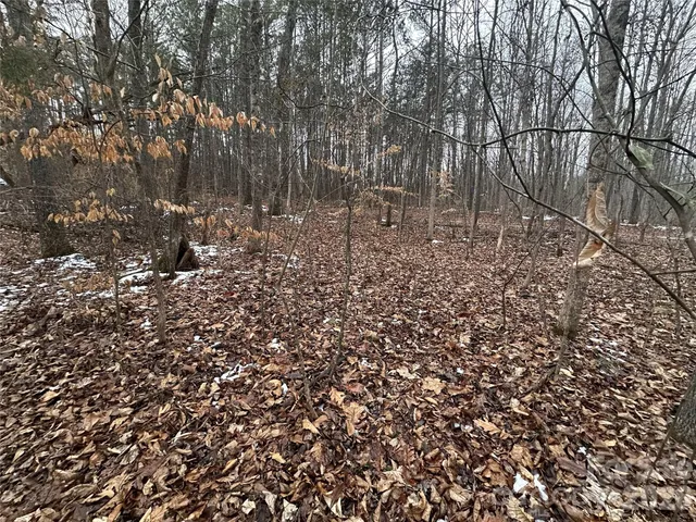 a view of covered with green space