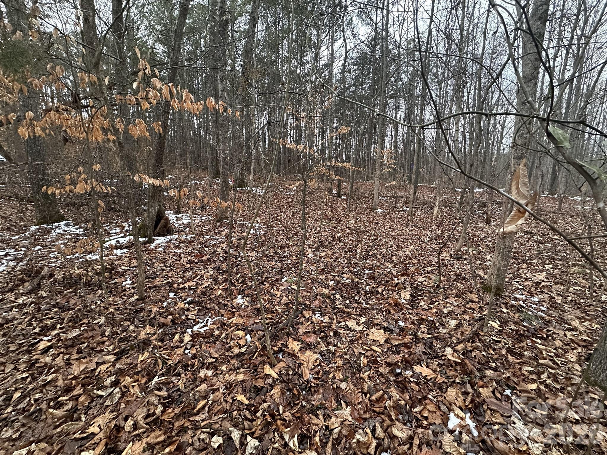 167 Rolling Road Lincolnton, NC 28092 - Photo 8 of 33 a view of a yard with a tree