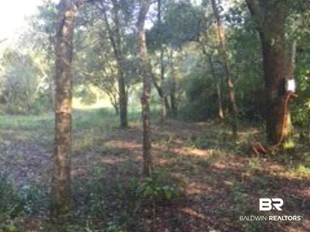 0 Wayburn Road Seminole, AL 36574 - Photo 1 of 8