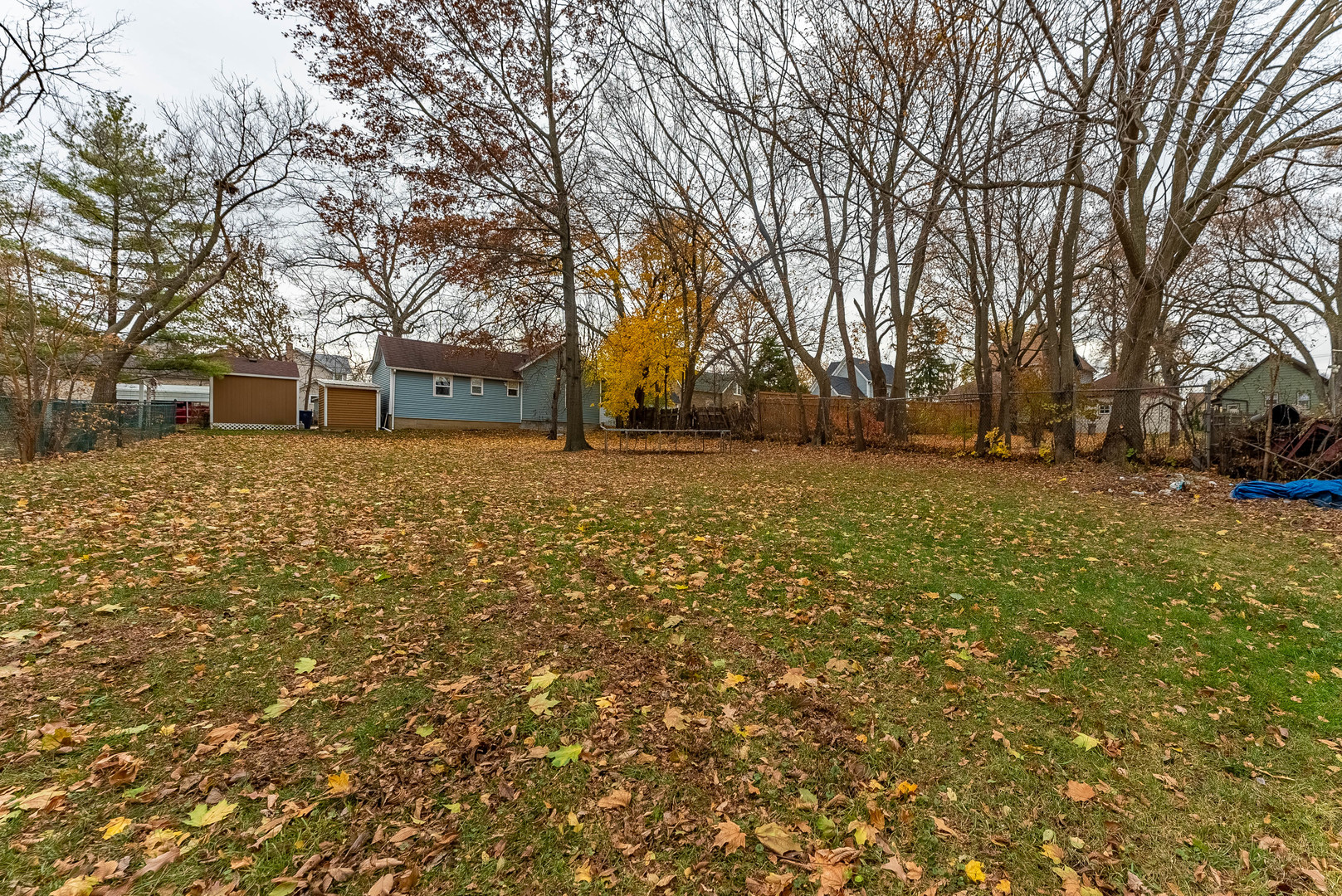 643 Wing Street Elgin, IL 60123 - Photo 16 of 19 a view of a yard with trees