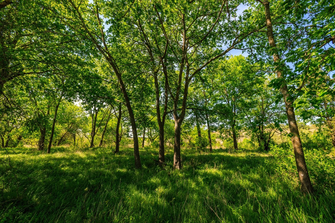 Lot 2 Byrd Ranch Road Johnson City, TX 78636 - Photo 13 of 40 a view of outdoor space with a yard