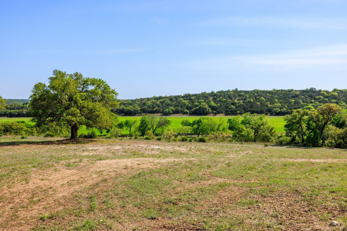 Lot 2 Byrd Ranch Road Johnson City, TX 78636 - Photo 29 of 40 a view of a plants with yard