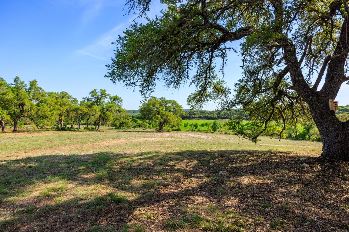 Lot 2 Byrd Ranch Road Johnson City, TX 78636 - Photo 34 of 40 a view of a yard with a tree