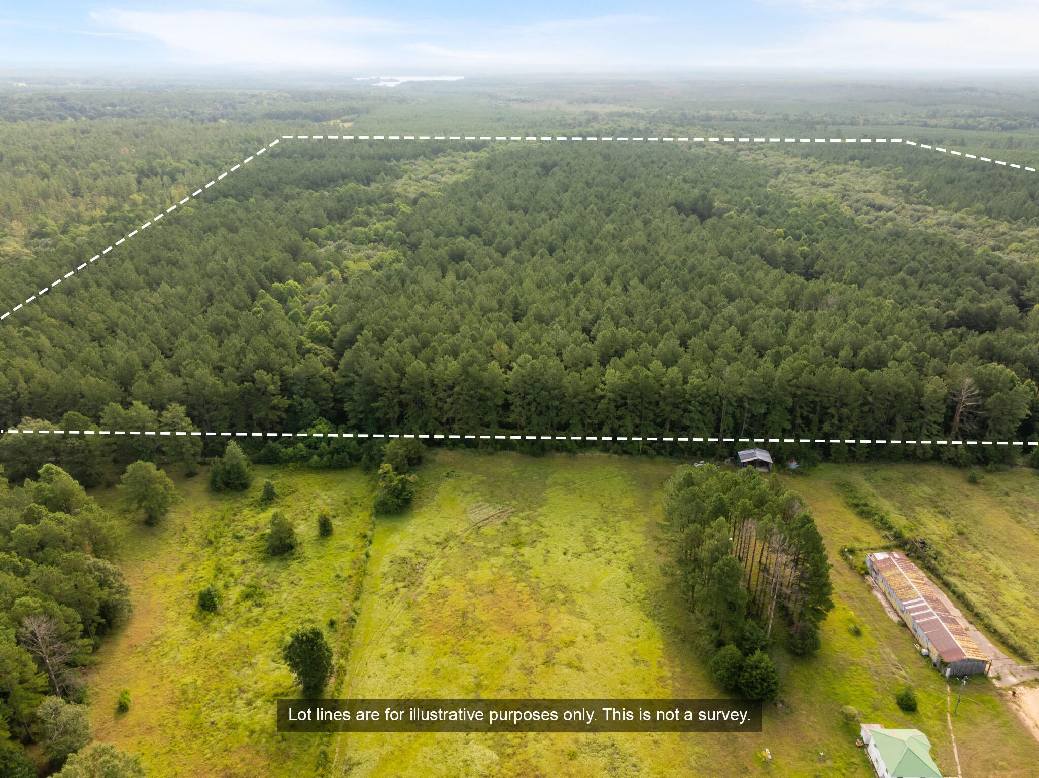 80-ac Arthur Lowe Road Lumberton, MS 39455 - Photo 4 of 18 Gallery Image 4