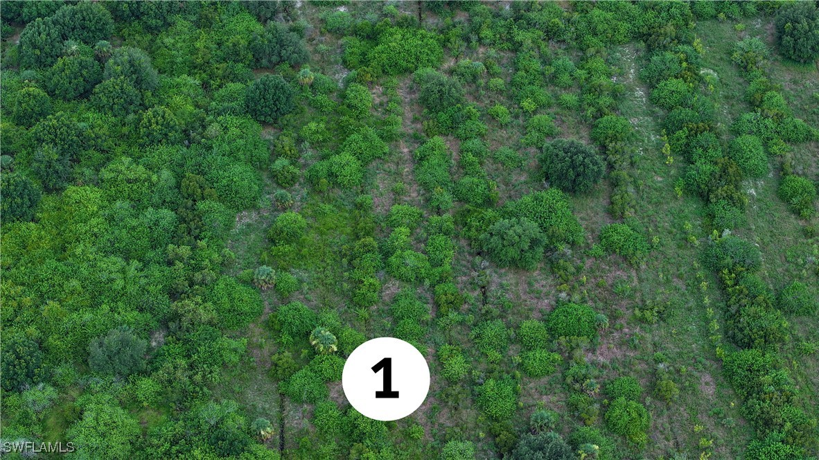 2nd Road Clewiston, FL 33440 - Photo 4 of 7