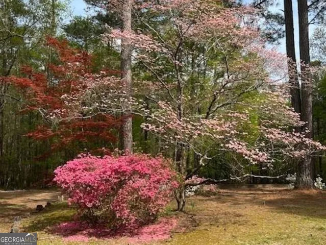 a backyard of a house with lots of green space