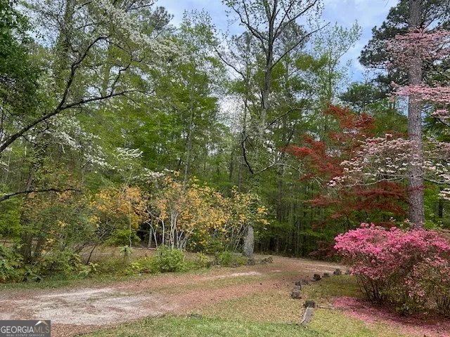 a view of a town with large trees